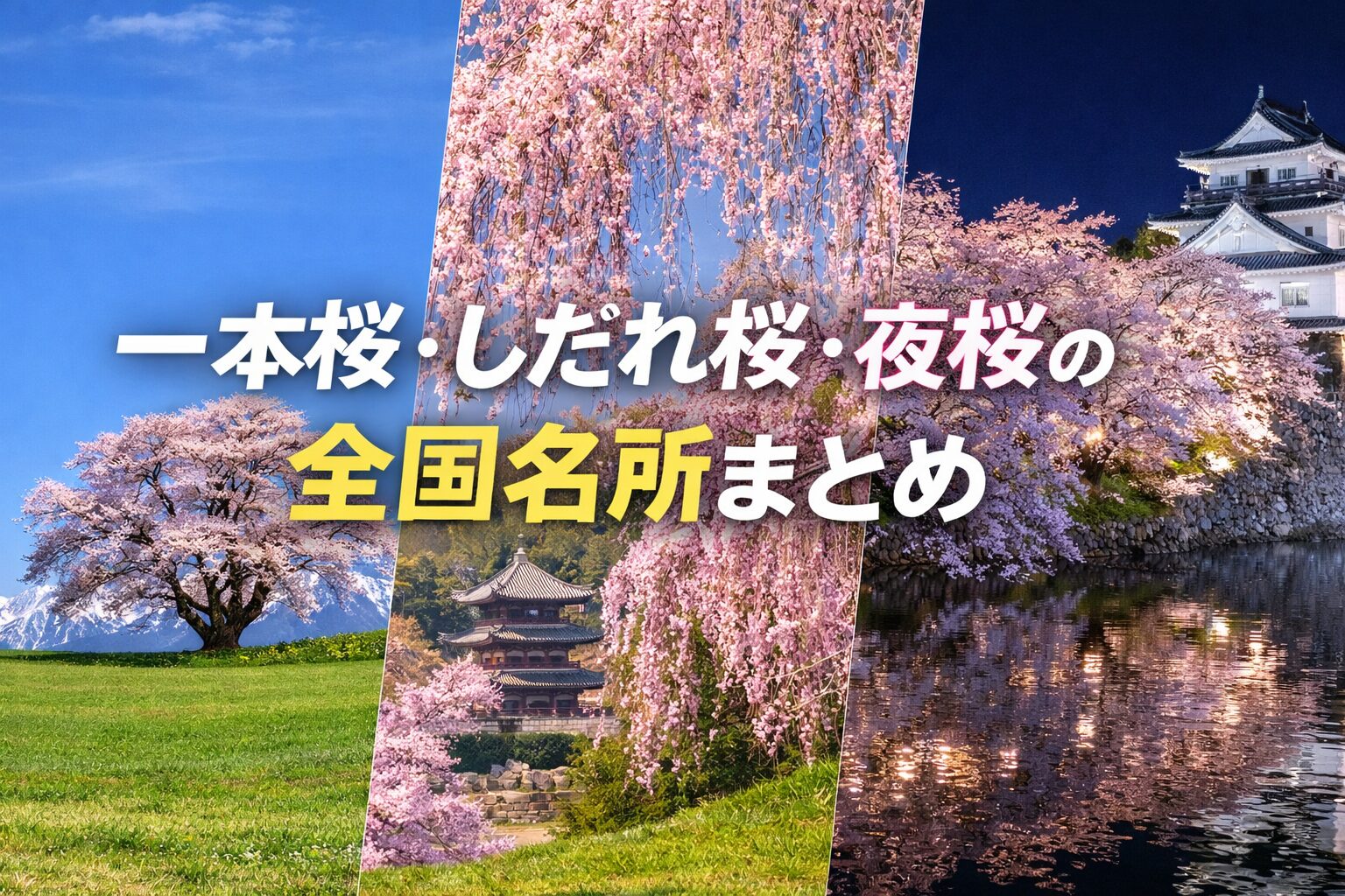 【全国版】一本桜・しだれ桜・夜桜の名所まとめ！一度は見たい絶景スポット