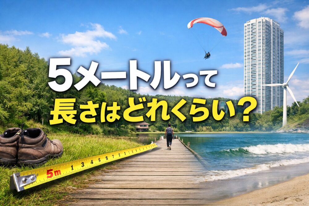 5メートルの長さはどれくらい？